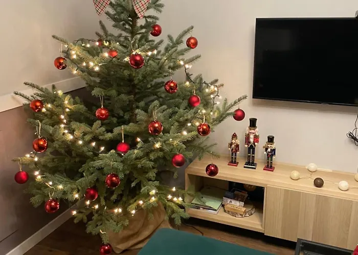 Apartment Chelmonskiego Srem